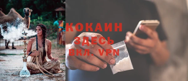 дурь Каменка