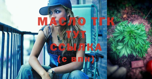 дурь Каменка