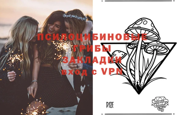 дурь Каменка