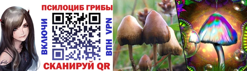 Псилоцибиновые грибы ЛСД  Купить закладки  Тюмень 